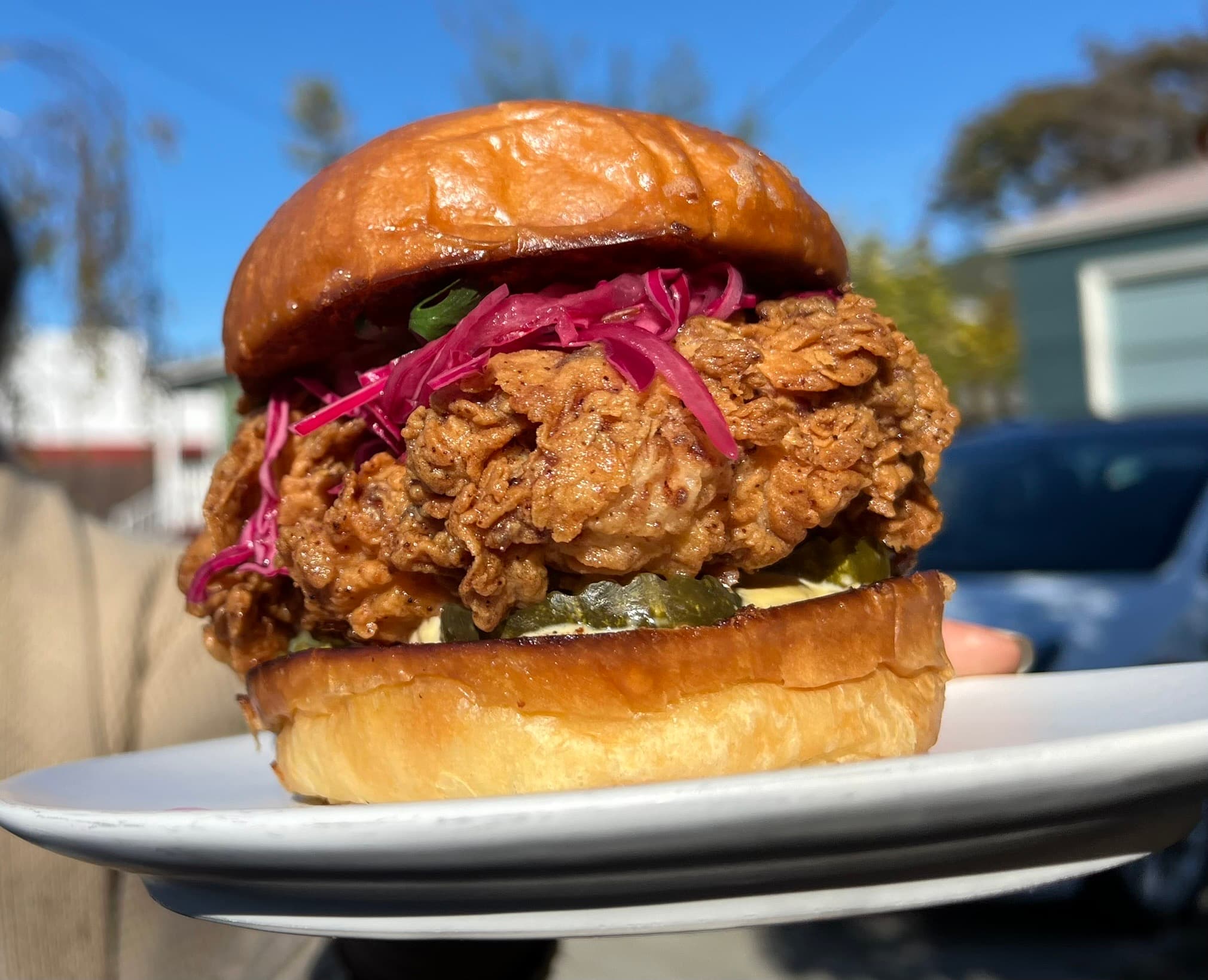 Pollo Papí fried chicken sandwich on a brioche bun